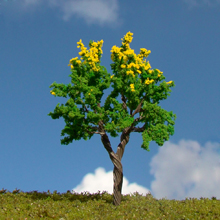 model trees